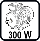 Номинална мощност (W)